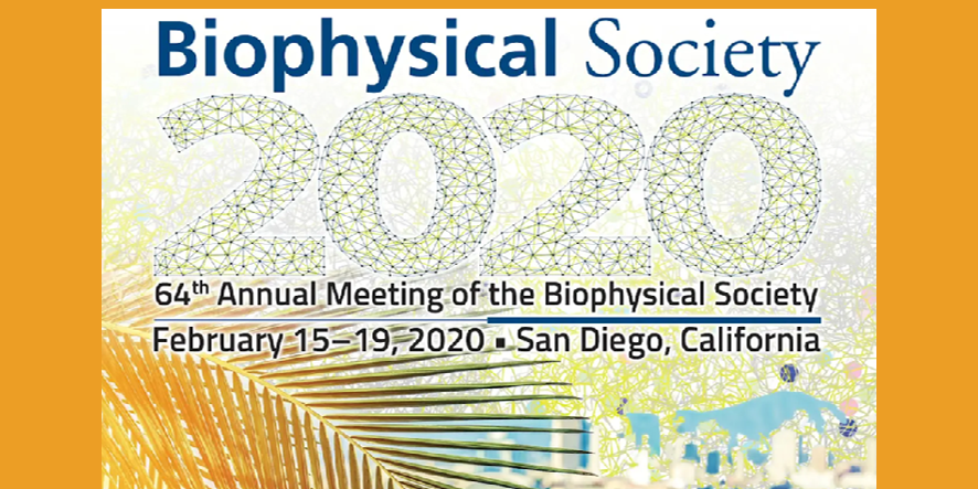 Biophysical SocietyAnnual Meeting - AXXAM Biophysical SocietyAnnual Meeting - AXXAM