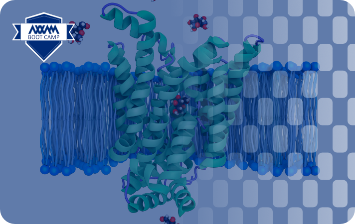 Membrane Solute Carriers: challenges and opportunities as drug targets