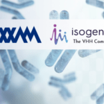 Axxam and Isogenica uncover new ways to inhibit CDK2 with VHHs