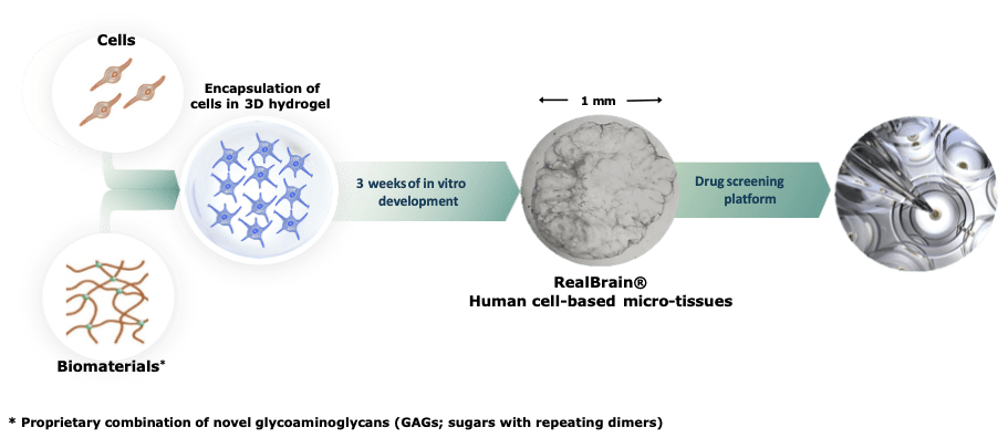 Generation of Tessara’s neural micro-tissues