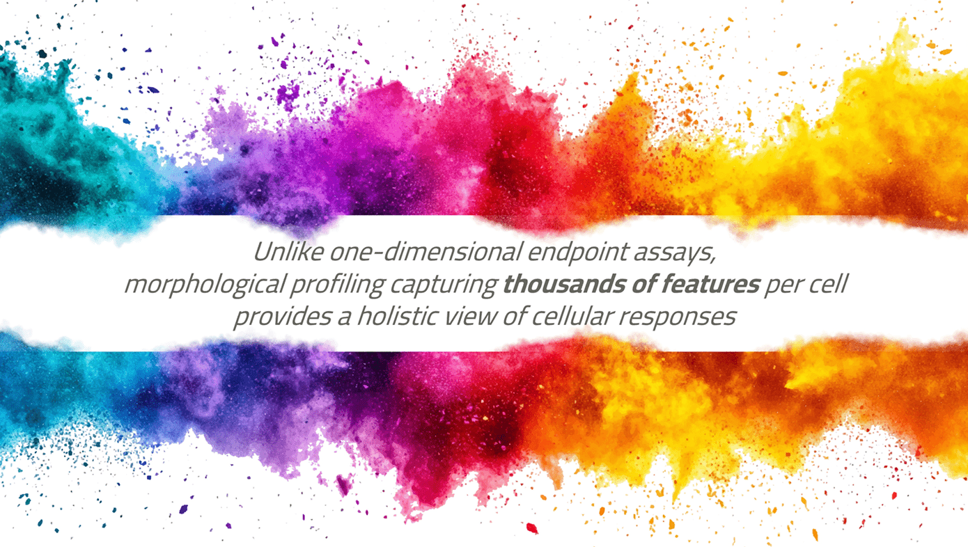 Cell painting at Axxam