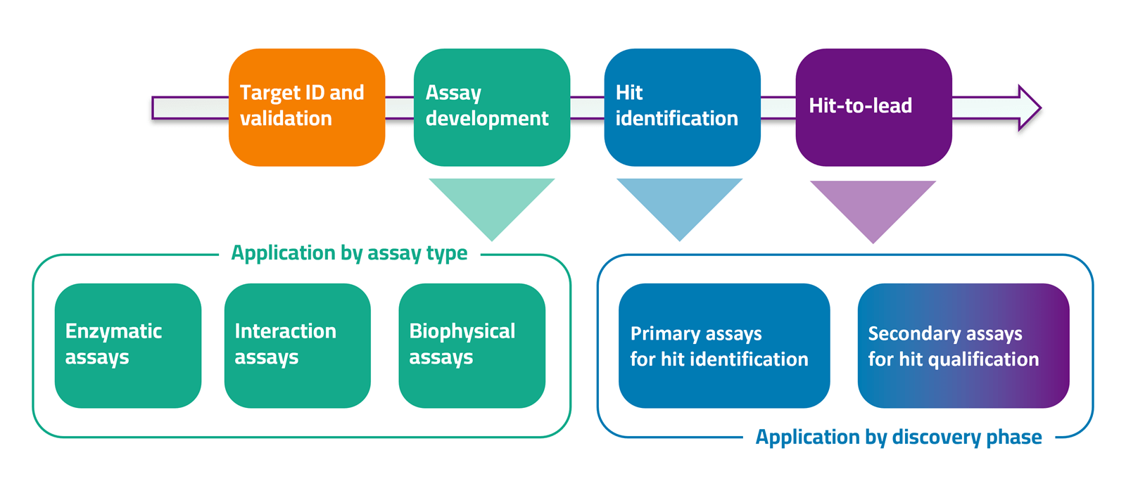 Biochemical assay scheme