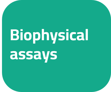 Biophysical assays