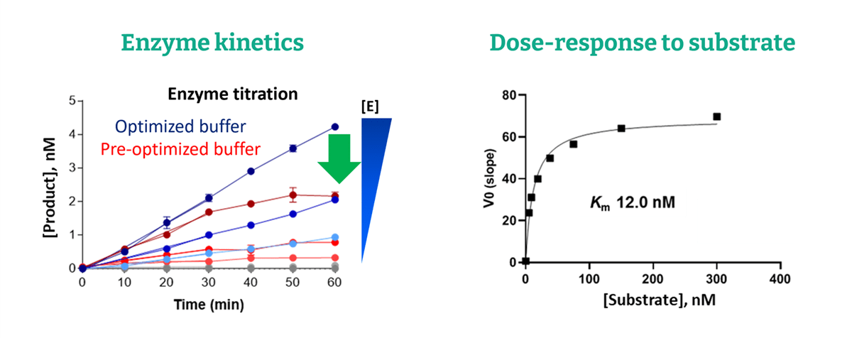 Enzyme kinetics and substrate dose–response analysis