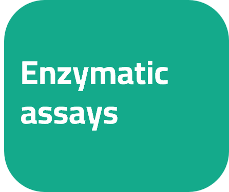 Enzymatic assays