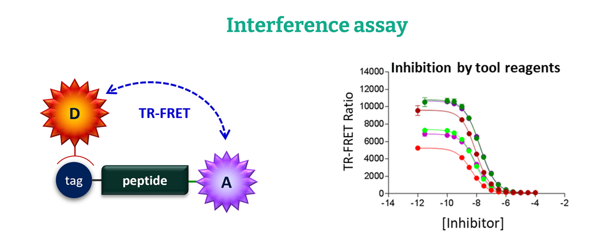 Biochemical Assays for Drug Discovery | Biochemical secondary assays