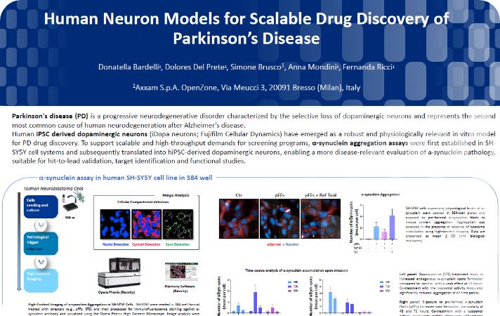 Poster: Human neuron models for scalable drug discovery of Parkinson’s disease_Axxam assays
