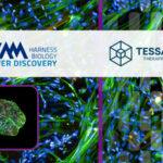 Press release Axxam and Tessara collaboration
