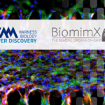 Press release: Axxam and BiomimX collaboration