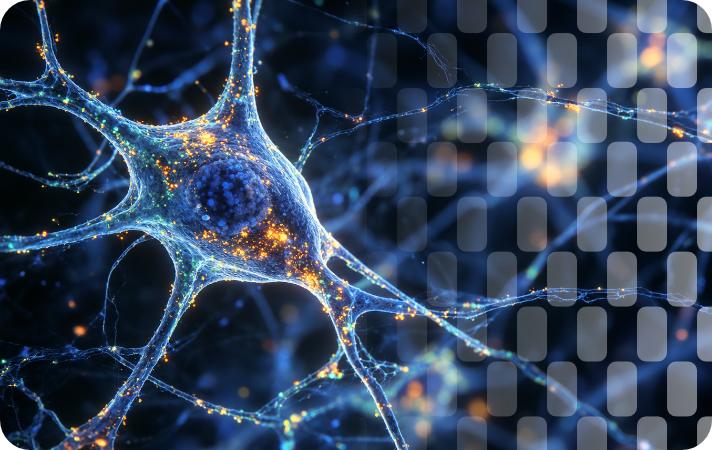 Advancing KCC2 pharmacological potentiation: breaking the state-of-the-art for CNS Drug Discovery