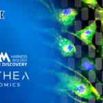 From Target Discovery to Toxicology